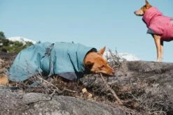 Hurtta Expedition Wintermantel, Blau -Wuff Wohnen Verkäufe 811267c00508e13afb7f05a2c2db4bea2028129