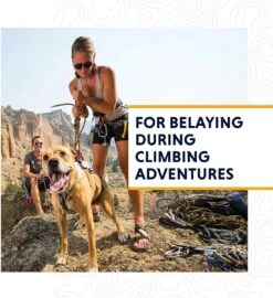 Ruffwear DoubleBack Harness Cloudburst Gray -Wuff Wohnen Verkäufe 81MdiRP8BeL. AC SL1500