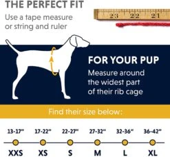 Ruffwear Cloud Chaser Soft Shell Jacket 13 Ruffwear Cloud Chaser Soft Shell Jacket -Wuff Wohnen Verkäufe 81iSoI0rxgL. AC SL1500 28129