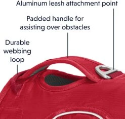 Ruffwear Web Master Harness Red Currant -Wuff Wohnen Verkäufe 81qKAHAzaML. AC SL1500