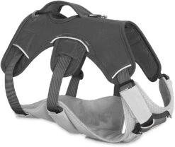 Ruffwear Core Cooler Graphite Gray -Wuff Wohnen Verkäufe 81stvbnX01L. AC SL1500 28129