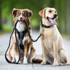 Wolters Führleine Active Pro -Wuff Wohnen Verkäufe Active Pro FC3BChrleine 1920x1920