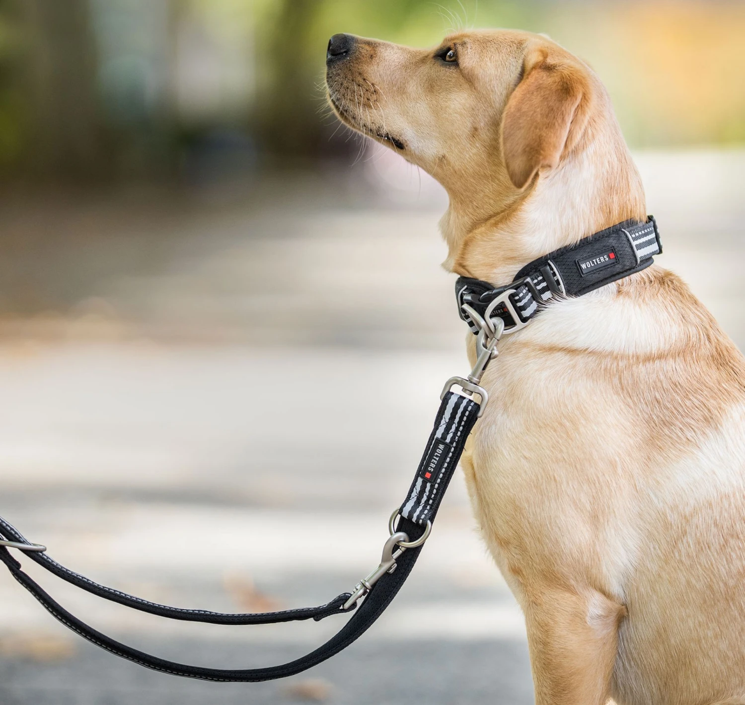 Wolters Halsband Active Pro 4 Wolters Halsband Active Pro – Bild 2