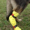 DogGusti® Strumpf Aus Naturlatex 1 DogGusti® Strumpf Aus Naturlatex -Wuff Wohnen Verkäufe Anziehen gelb 05 17.4.09