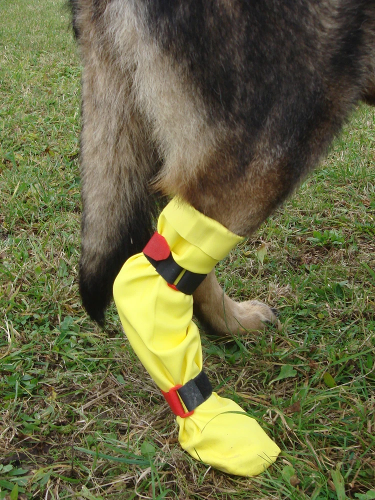 DogGusti® Strumpf Aus Naturlatex 3 DogGusti® Strumpf Aus Naturlatex