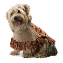 Alqo Wasi Hunde-Pullover Autumm Joy - M 11 Alqo Wasi Hunde-Pullover Autumm Joy - M -Wuff Wohnen Verkäufe Autumn Joy 1