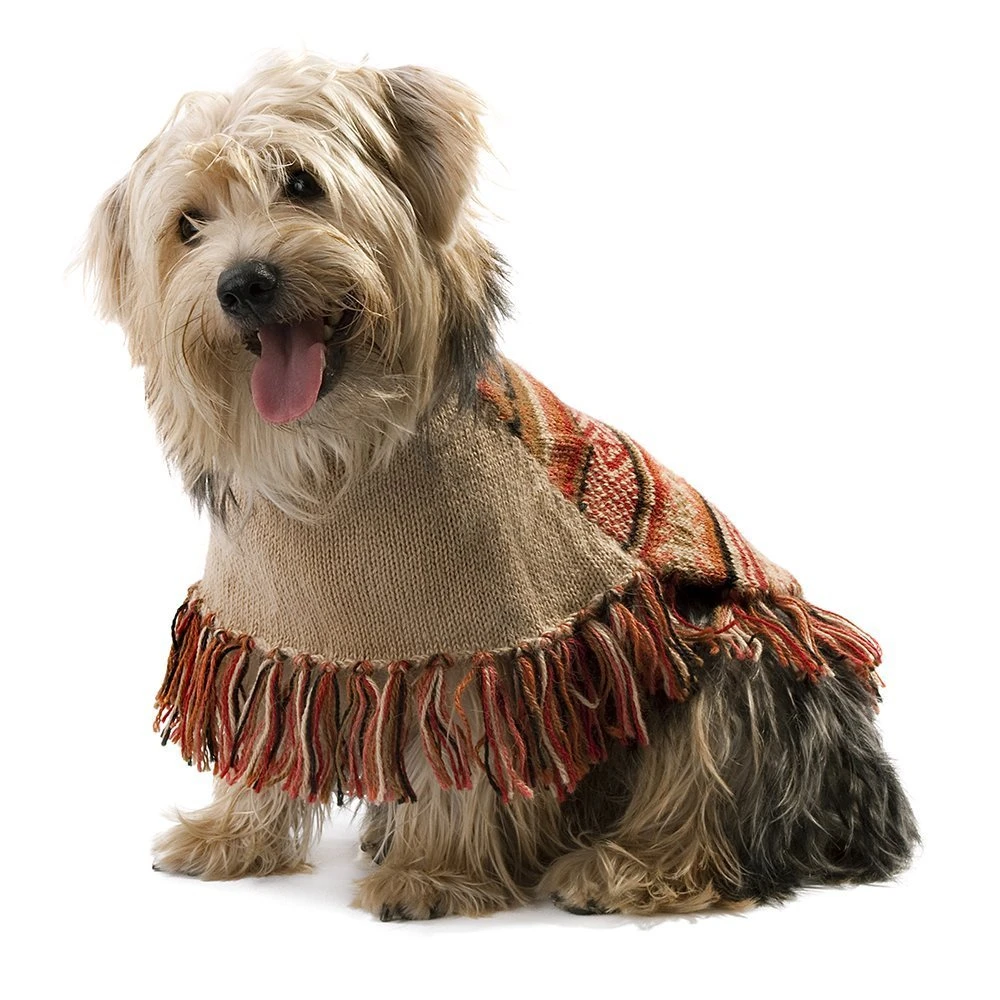 Alqo Wasi Hunde-Pullover Autumm Joy - M 7 Alqo Wasi Hunde-Pullover Autumm Joy - M – Bild 5