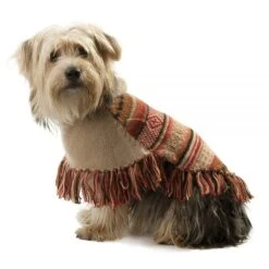 Alqo Wasi Hunde-Pullover Autumm Joy - M 10 Alqo Wasi Hunde-Pullover Autumm Joy - M -Wuff Wohnen Verkäufe Autumn Joy 2 600x600 1