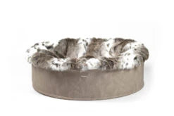 Maul Buddelnest Luchs