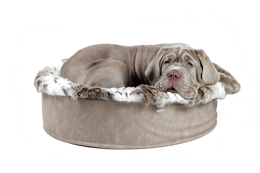 Maul Buddelnest Luchs 4 Maul Buddelnest Luchs – Bild 2