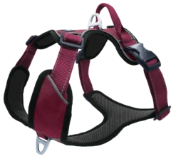 Petlando Outdoor Geschirr