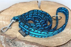 Zero DC Royal Leine 1,20m Türkis