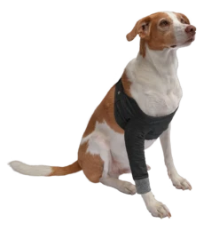 Petlando Vetlando Vorderbeinschutz