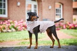 Wolters Outdoorjacke Modern Classic -Wuff Wohnen Verkäufe FIO0Es98