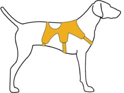 Ruffwear Web Master Harness Red Currant -Wuff Wohnen Verkäufe Fit Guide Coverage Style Web Master Harness