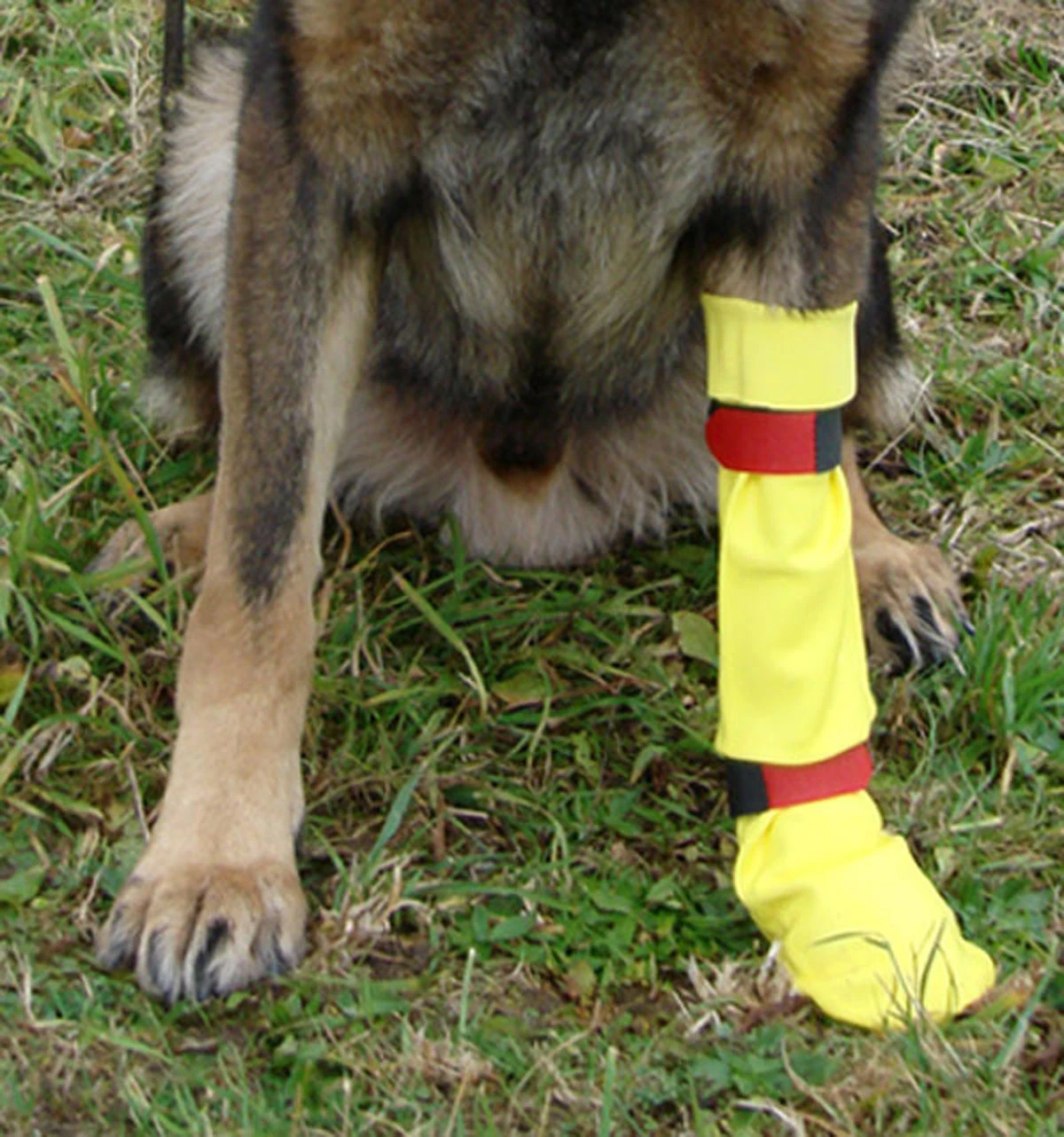 DogGusti® Strumpf Aus Naturlatex 4 DogGusti® Strumpf Aus Naturlatex – Bild 2