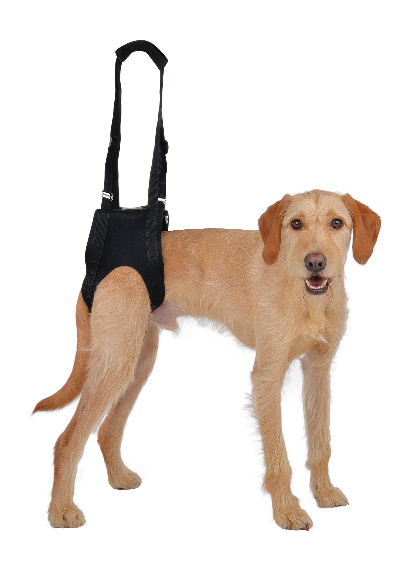 Petlando Vetlando Gehhilfe Schwarz 5 Petlando Vetlando Gehhilfe Schwarz – Bild 3