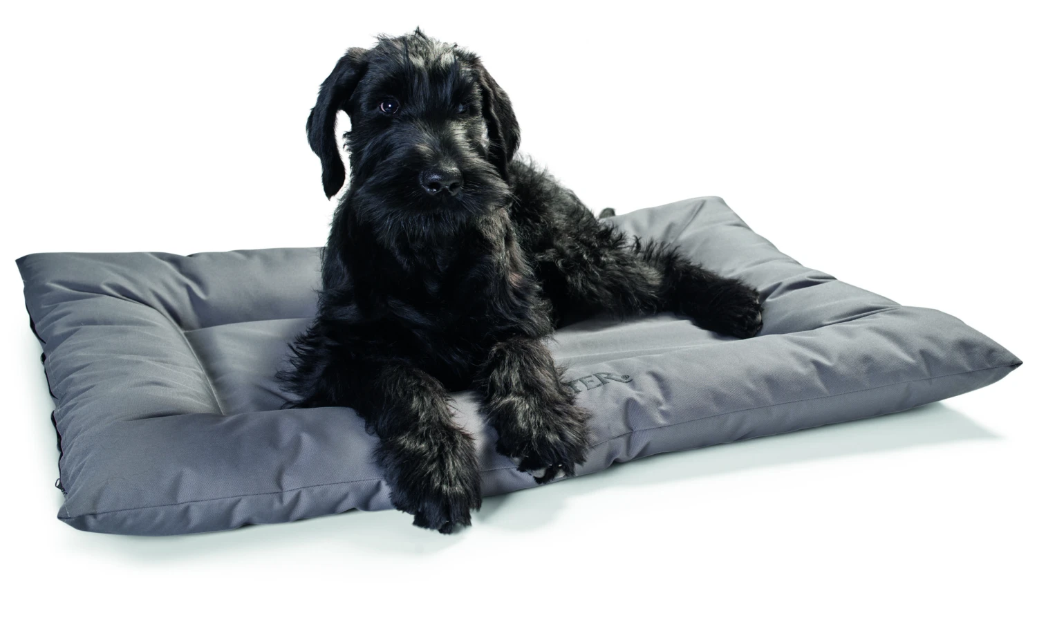 Hunter Hundebett Gent Antibakteriell, Silverplus & Bionic Finish C6 4 Hunter Hundebett Gent Antibakteriell, Silverplus & Bionic Finish C6 – Bild 2