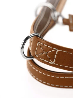 Hunter Verst. Führleine Tara, Juchtenleder 9 Hunter Verst. Führleine Tara, Juchtenleder -Wuff Wohnen Verkäufe HUNTER 12171 65681 006 18 lpr