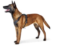 Hunter Y-Geschirr Aalborg, Softvollrindleder 8 Hunter Y-Geschirr Aalborg, Softvollrindleder -Wuff Wohnen Verkäufe HUNTER 15103 67324 001 image 19 lpr