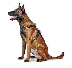 Hunter Y-Geschirr Aalborg, Softvollrindleder 9 Hunter Y-Geschirr Aalborg, Softvollrindleder -Wuff Wohnen Verkäufe HUNTER 15104 67324 002 image 19 lpr