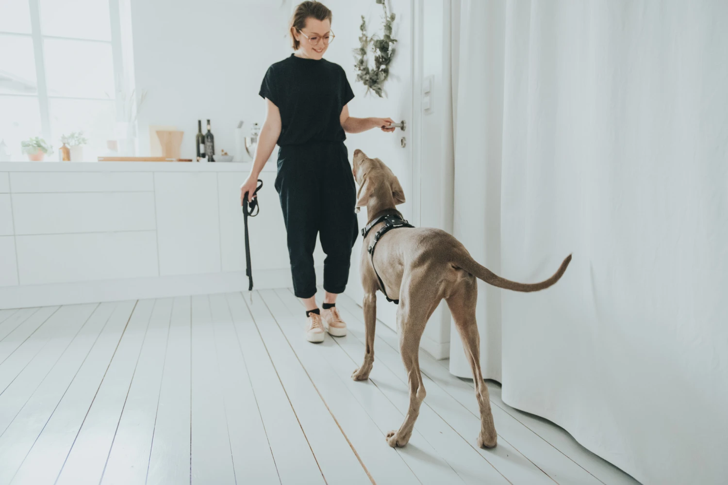 Hunter Y-Geschirr Aalborg, Softvollrindleder 7 Hunter Y-Geschirr Aalborg, Softvollrindleder – Bild 5