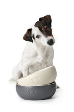 Hunter Keramik Napf Lund -Wuff Wohnen Verkäufe HUNTER 15933 67433 002 image 19 lpr