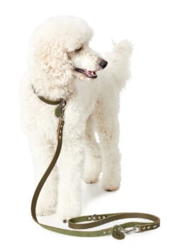 Hunter Verst. Führleine, Softvollrindleder -Wuff Wohnen Verkäufe HUNTER 16373 2