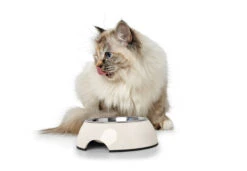 Hunter Melamin-Napf Weiß -Wuff Wohnen Verkäufe HUNTER 9396 91362 003 image 17 lpr