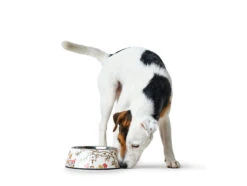 Hunter Melamin-Napf Mogami Weiß/multicolor -Wuff Wohnen Verkäufe HUNTER 9653 65140 001 image 17 lpr