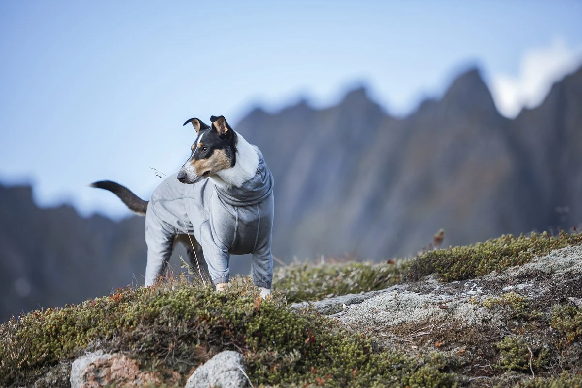 Hurtta Training Warmer, Carbon Grau 5 Hurtta Training Warmer, Carbon Grau – Bild 3