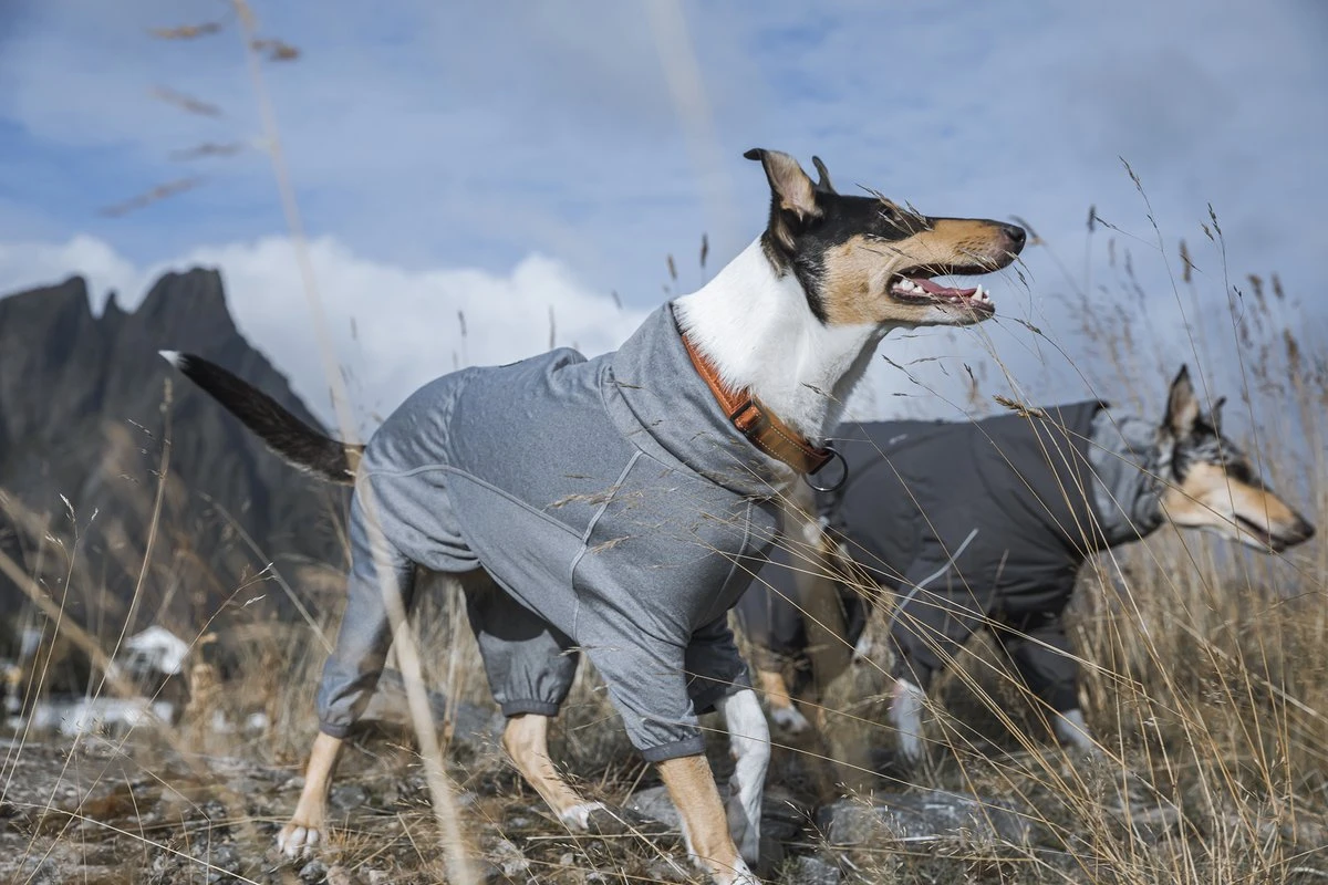 Hurtta Training Warmer, Carbon Grau 4 Hurtta Training Warmer, Carbon Grau – Bild 2