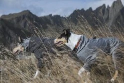 Hurtta Training Warmer, Carbon Grau 12 Hurtta Training Warmer, Carbon Grau -Wuff Wohnen Verkäufe HurttaBodyWarmer CarbonGrey AW20 18 1200x