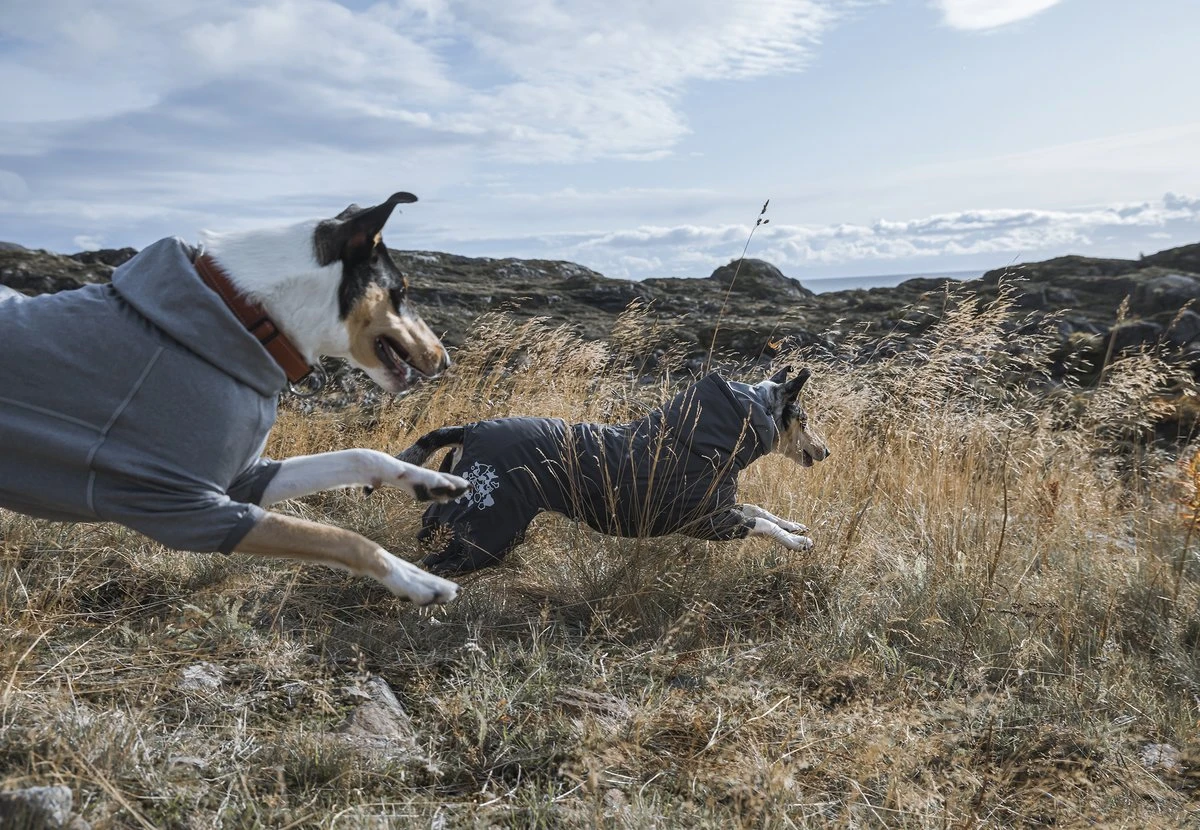 Hurtta Training Warmer, Carbon Grau 8 Hurtta Training Warmer, Carbon Grau – Bild 6