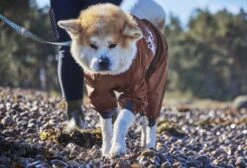 Hurtta Mudventure Overall ECO, Zimt 13 Hurtta Mudventure Overall ECO, Zimt -Wuff Wohnen Verkäufe HurttaMudventureOverallECO Cinnamon AW22 20 small