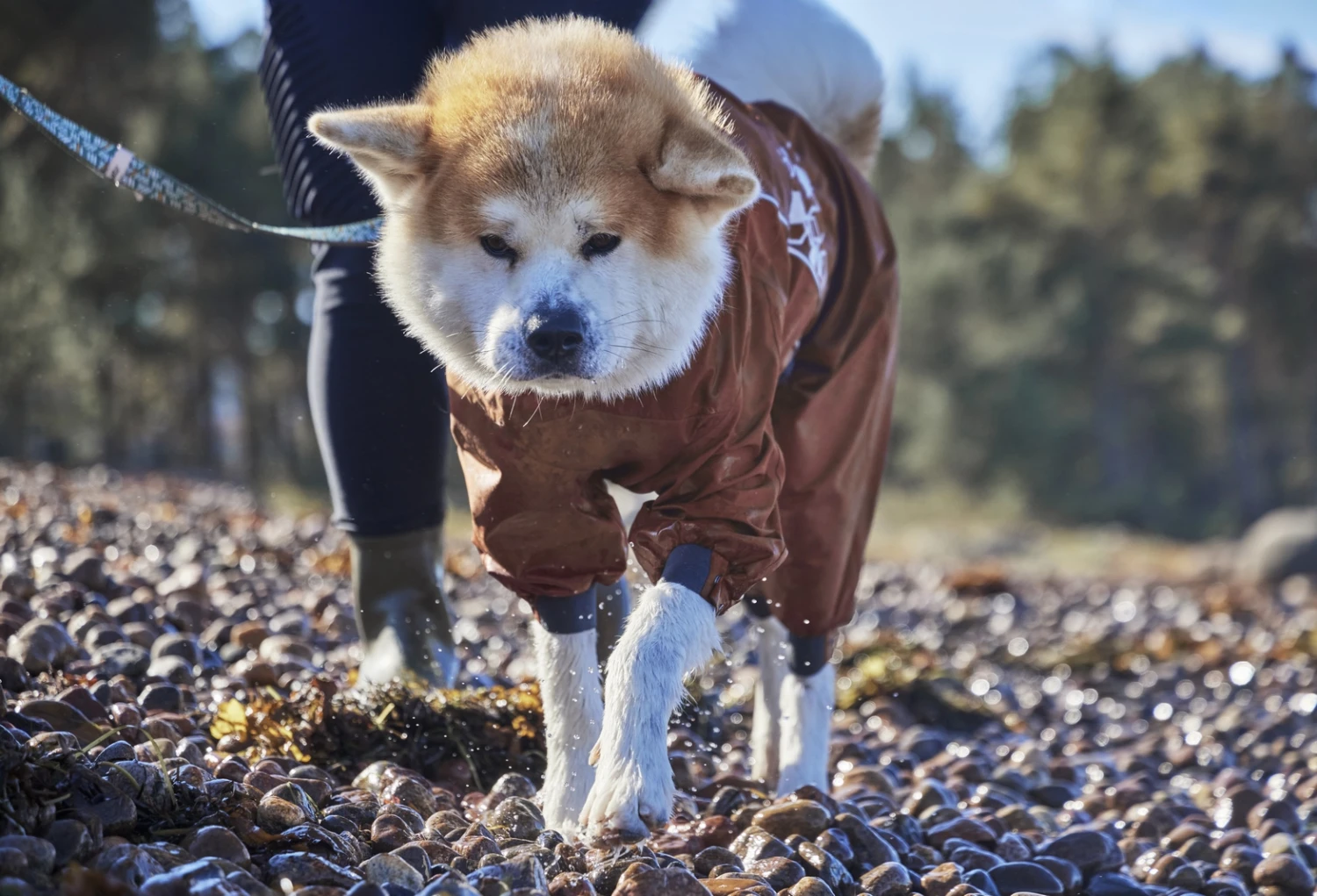 Hurtta Mudventure Overall ECO, Zimt 8 Hurtta Mudventure Overall ECO, Zimt – Bild 6