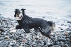 Hurtta Rain Blocker Regenmantel -Wuff Wohnen Verkäufe HurttaRainBlocker Raven SS18 10 1200x