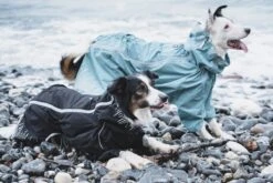 Hurtta Rain Blocker Regenmantel -Wuff Wohnen Verkäufe HurttaRainBlocker Raven SS18 6 1200x