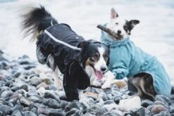 Hurtta Rain Blocker Regenmantel -Wuff Wohnen Verkäufe HurttaRainBlocker Raven SS18 7 1200x