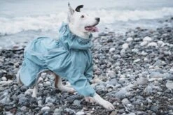 Hurtta Rain Blocker Regenmantel -Wuff Wohnen Verkäufe HurttaRainBlocker Stream SS18 4 1200x