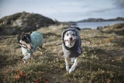 Hurtta Extreme Warmer, Granit -Wuff Wohnen Verkäufe Hurtta Extremewarmer Hedge Blackberry small 78fc8383 cdc8 41f3 9100 56d441eb7f1a 1260x 1