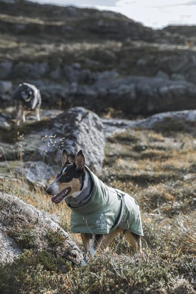 Hurtta Extreme Warmer ECO (Limited Edition), Grün 4 Hurtta Extreme Warmer ECO (Limited Edition), Grün – Bild 2