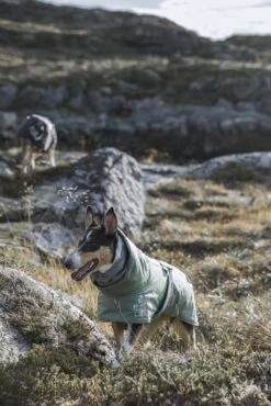 Hurtta Extreme Warmer, Weinrot -Wuff Wohnen Verkäufe Hurtta Extremewarmer Hedge small 612a120a 7781 4856 8a08 d3d14688d788 720x