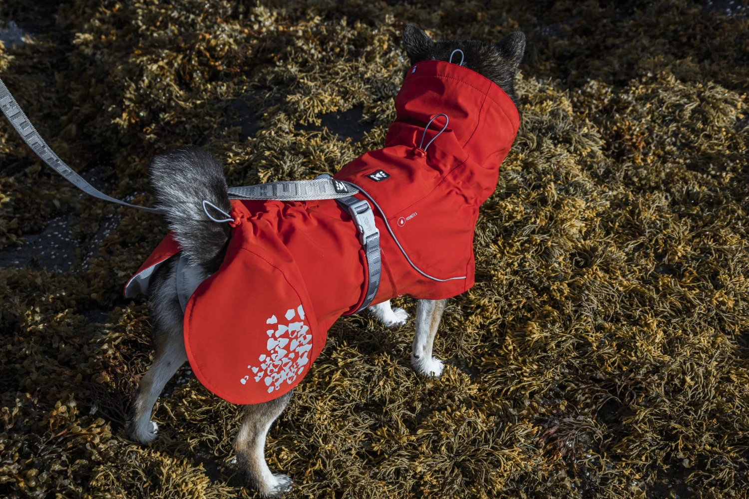 Hurtta Monsun Regenmantel ECO, Rosenrot (rosehip) 4 Hurtta Monsun Regenmantel ECO, Rosenrot (rosehip) – Bild 2