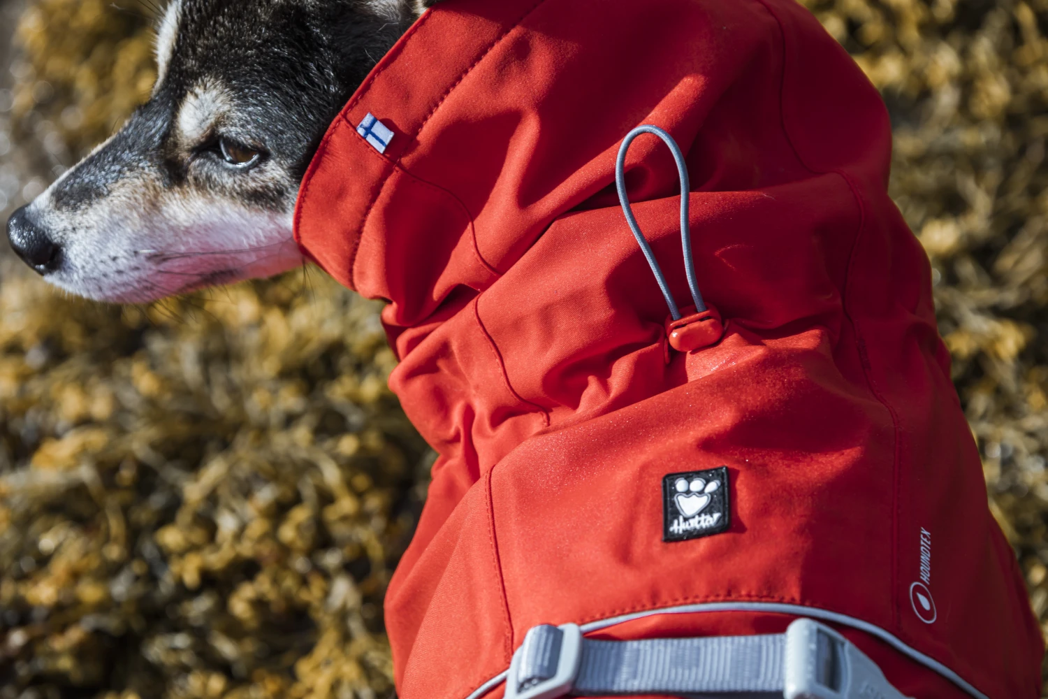 Hurtta Monsun Regenmantel ECO, Rosenrot (rosehip) 5 Hurtta Monsun Regenmantel ECO, Rosenrot (rosehip) – Bild 3