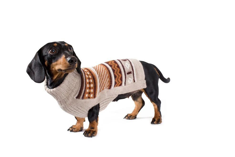 Alqo Wasi Hunde-Pullover Enchanted Meadow 5 Alqo Wasi Hunde-Pullover Enchanted Meadow – Bild 3