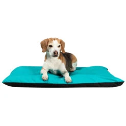 Jeggo Kissen Buchweizen -Wuff Wohnen Verkäufe Jeggo20Kissen20Buchweizen2002