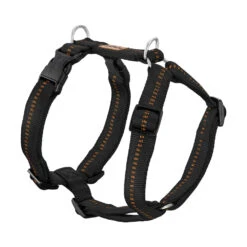 Koch Klick-Geschirr Gepolstert