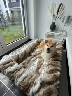 Maul Buddelbox Luchs Luchs/beige -Wuff Wohnen Verkäufe Kunde Luchs Buddelbox