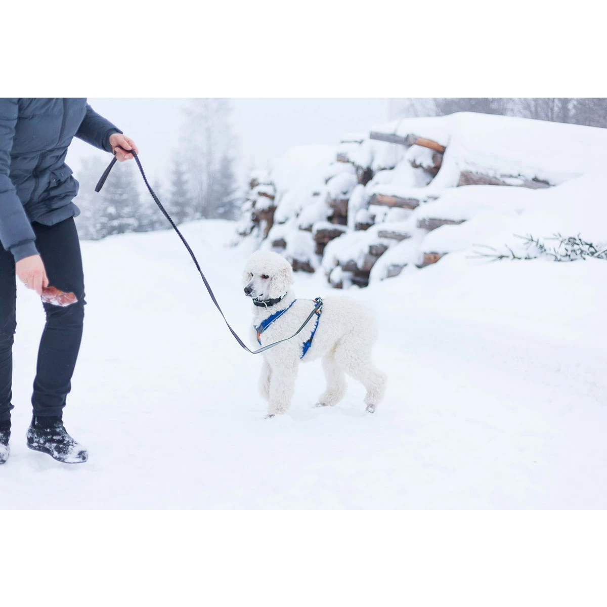 Non-stop Dogwear Bungee Touring Leash 8 Non-stop Dogwear Bungee Touring Leash – Bild 6